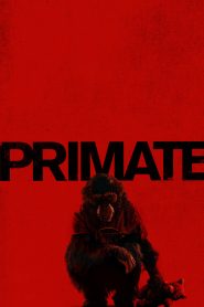 Primate (2026) ลิงคลั่งพันธุ์ดิบ