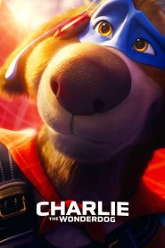 Charlie the Wonderdog (2025) พากย์ไทย