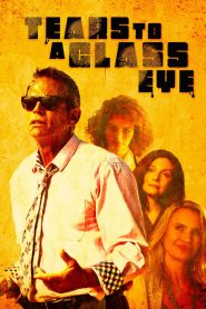 Tears to a Glass Eye (2025) พากย์ไทย