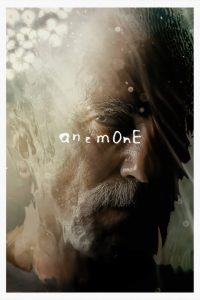 Anemone (2025) อะนีโมนี